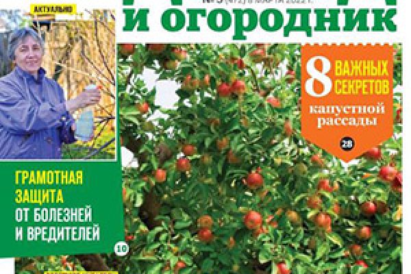 Ссылка кракен kr2web in